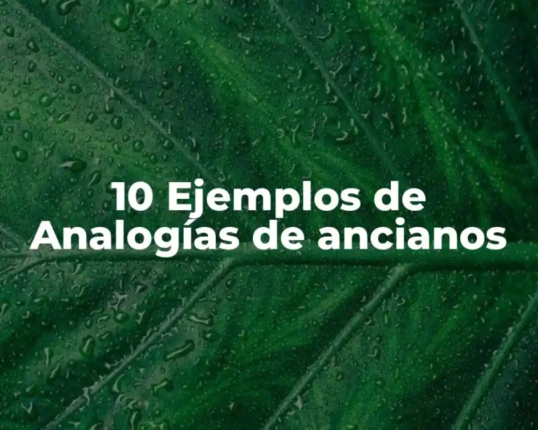 10 Ejemplos de Analogías de ancianos