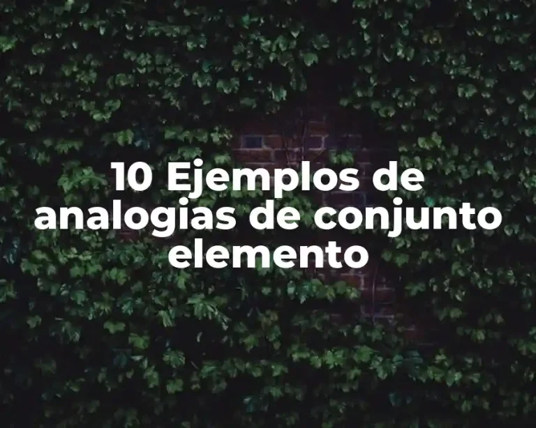 10 Ejemplos de analogias de conjunto elemento