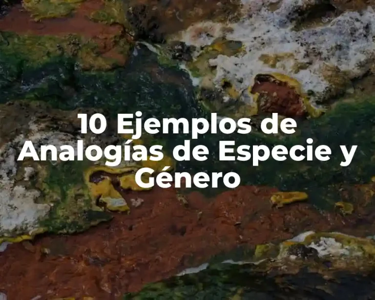 10 Ejemplos de Analogías de Especie y Género