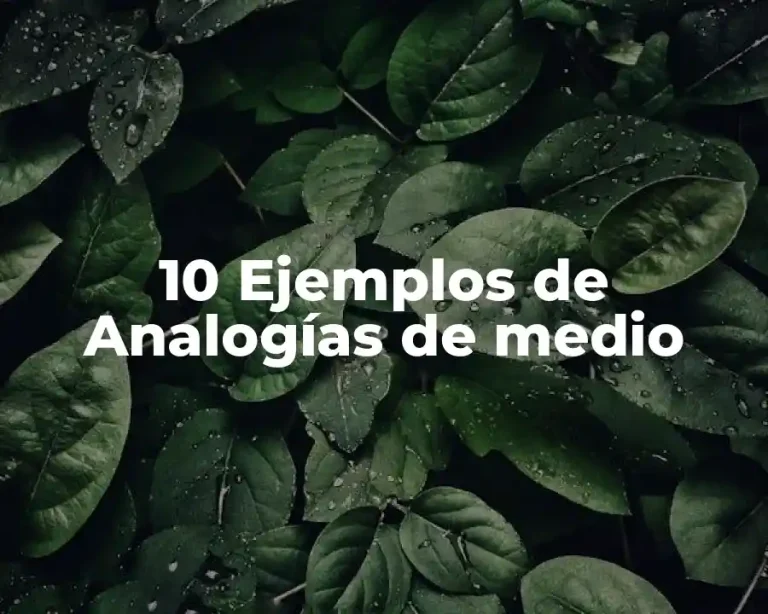 10 Ejemplos de Analogías de medio