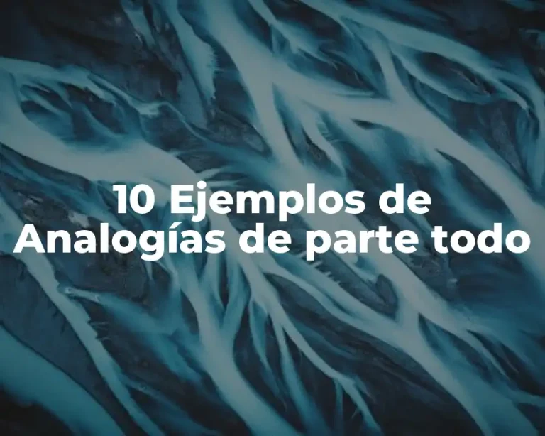 10 Ejemplos de Analogías de parte todo