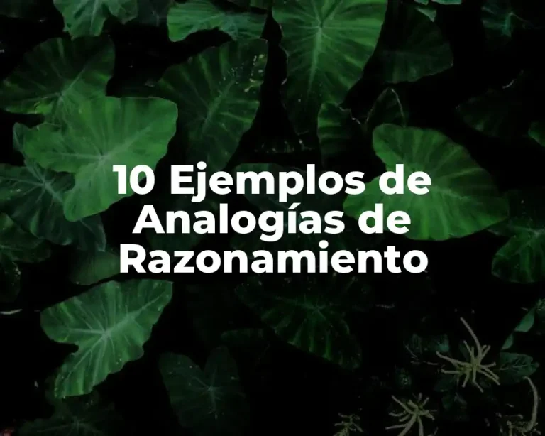 10 Ejemplos de Analogías de Razonamiento