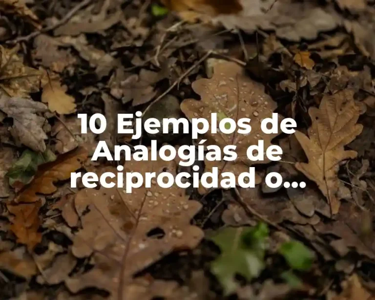 10 Ejemplos de Analogías de reciprocidad o implicación