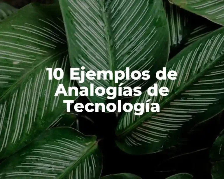 10 Ejemplos de Analogías de Tecnología
