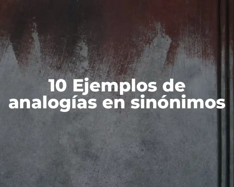 10 Ejemplos de analogías en sinónimos