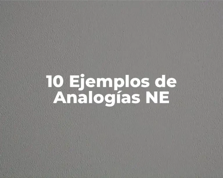 10 Ejemplos de Analogías NE