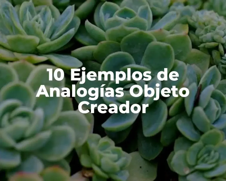 10 Ejemplos de Analogías Objeto Creador