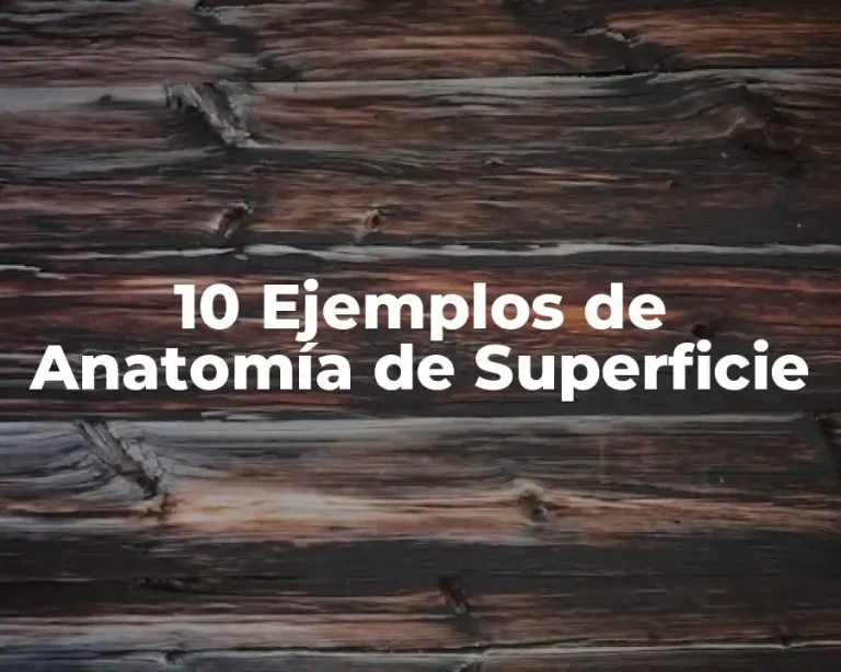 10 Ejemplos de Anatomía de Superficie