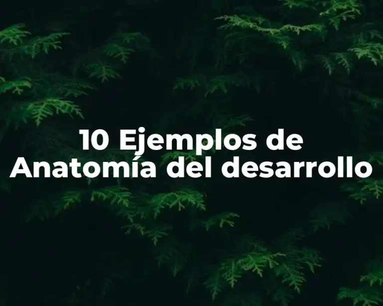 10 Ejemplos de Anatomía del desarrollo