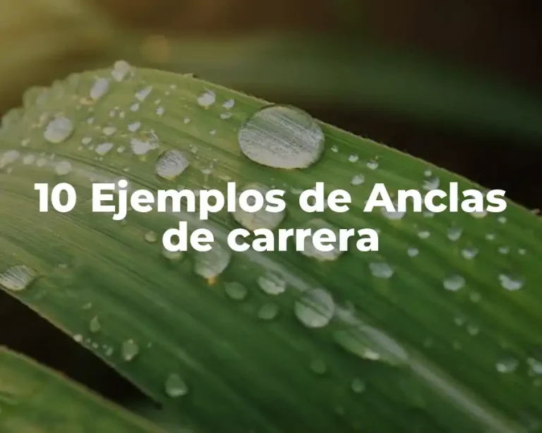 10 Ejemplos de Anclas de carrera