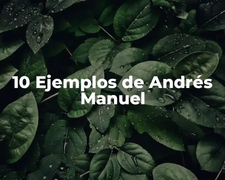 10 Ejemplos de Andrés Manuel