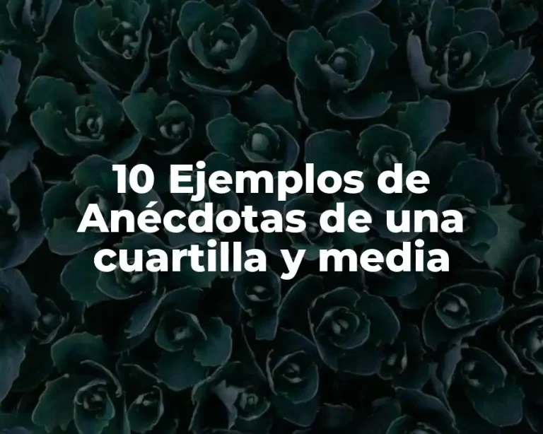 10 Ejemplos de Anécdotas de una cuartilla y media