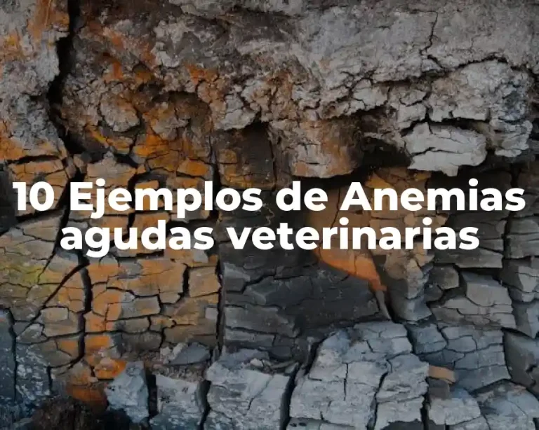 10 Ejemplos de Anemias agudas veterinarias