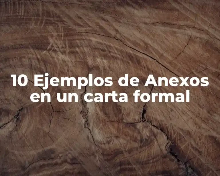 10 Ejemplos de Anexos en un carta formal