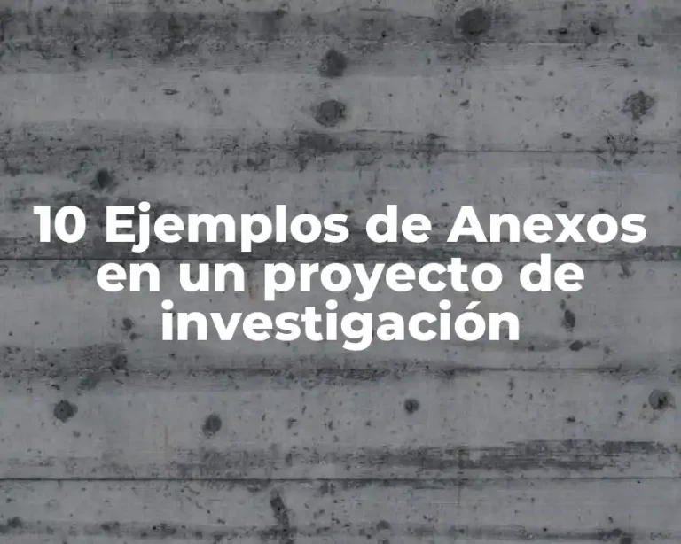 10 Ejemplos de Anexos en un proyecto de investigación