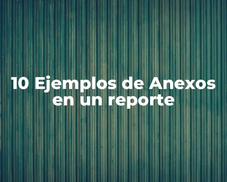 10 Ejemplos de Anexos en un reporte