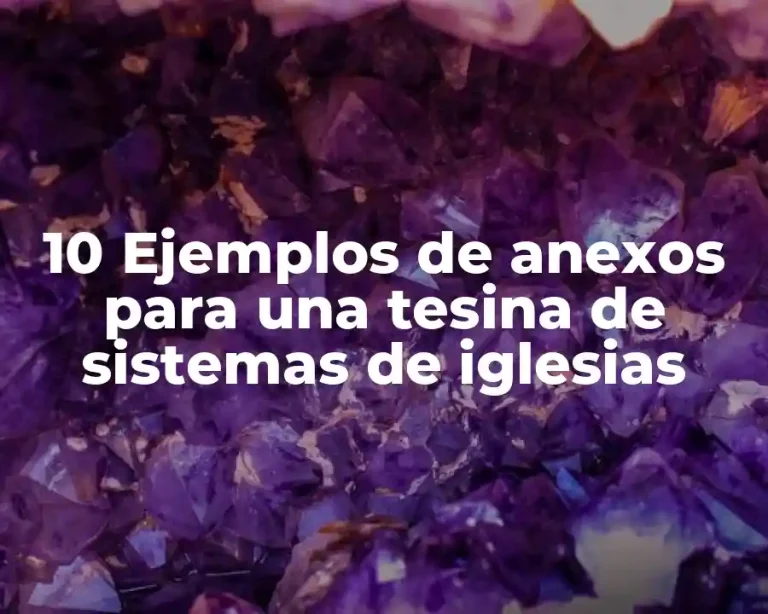 10 Ejemplos de anexos para una tesina de sistemas de iglesias