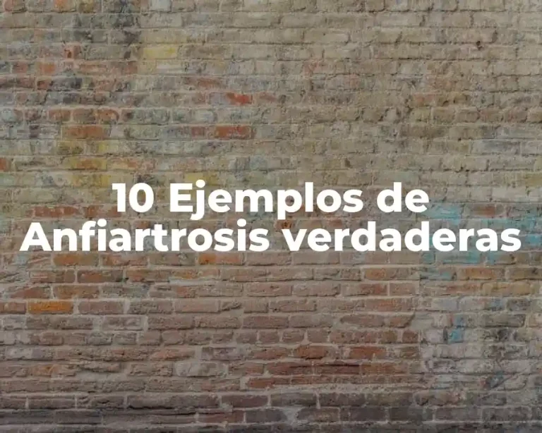 10 Ejemplos de Anfiartrosis verdaderas