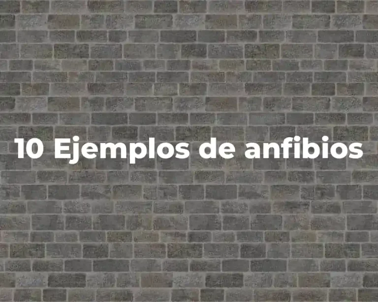 10 Ejemplos de anfibios