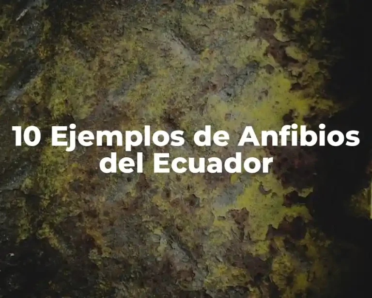 10 Ejemplos de Anfibios del Ecuador