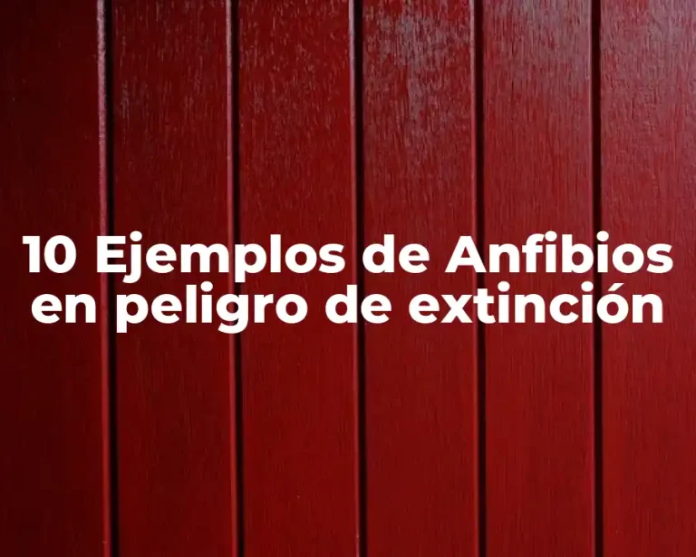 10 Ejemplos de Anfibios en peligro de extinción