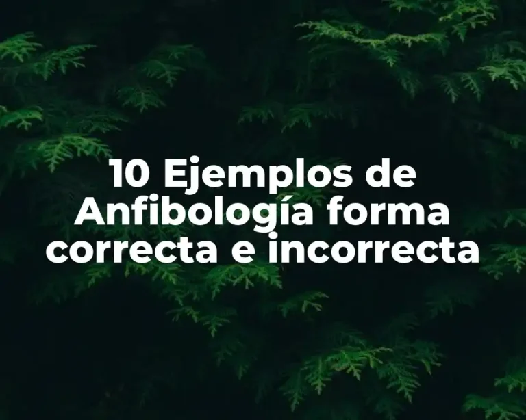 10 Ejemplos de Anfibología forma correcta e incorrecta