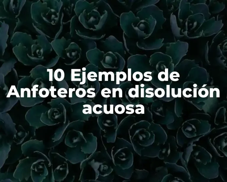 10 Ejemplos de Anfoteros en disolución acuosa