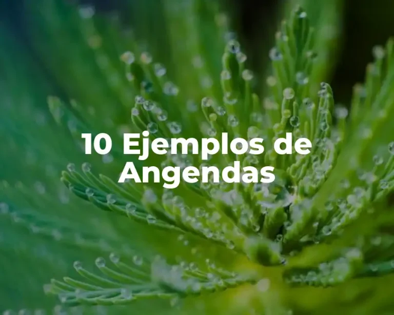 10 Ejemplos de Angendas