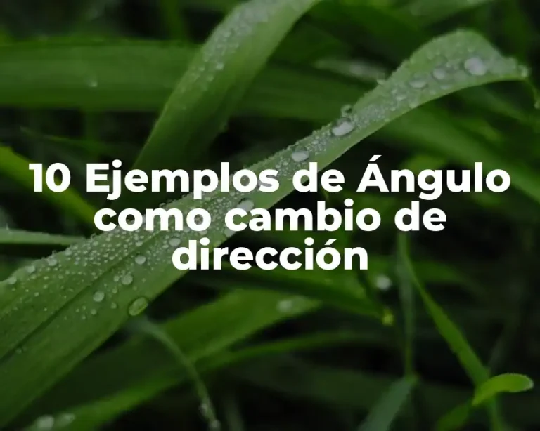 10 Ejemplos de Ángulo como cambio de dirección