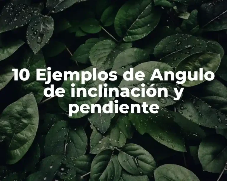 10 Ejemplos de Angulo de inclinación y pendiente