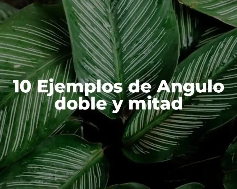 10 Ejemplos de Angulo doble y mitad