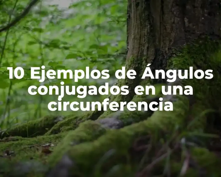 10 Ejemplos de Ángulos conjugados en una circunferencia