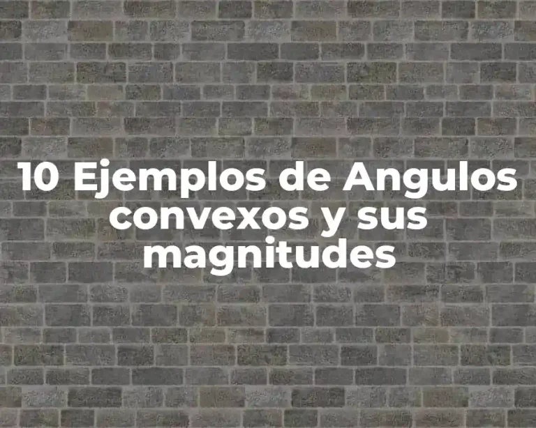 10 Ejemplos de Angulos convexos y sus magnitudes
