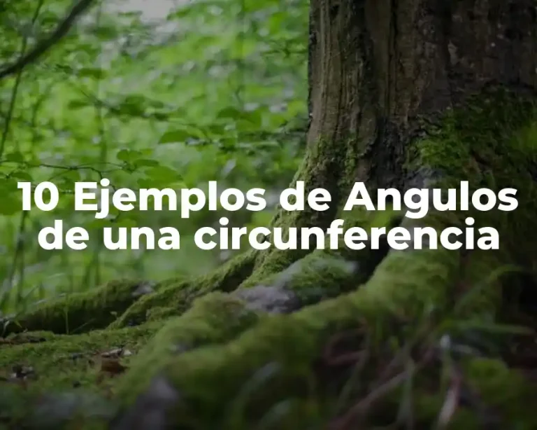 10 Ejemplos de Angulos de una circunferencia