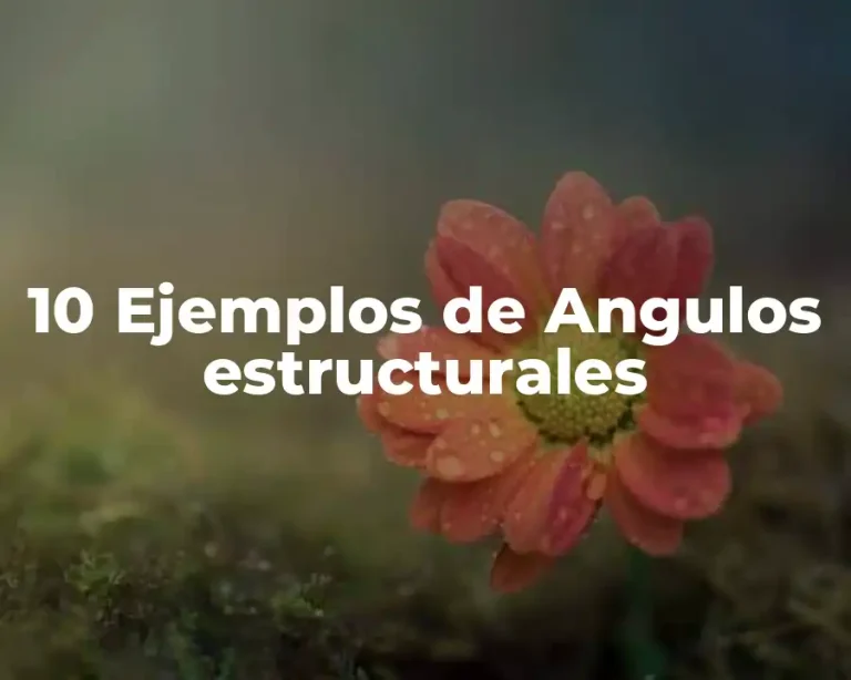 10 Ejemplos de Angulos estructurales