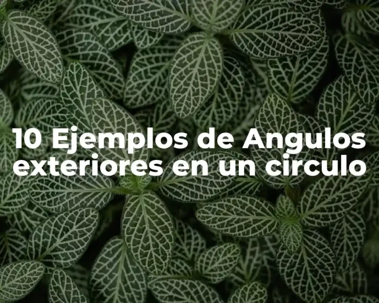 10 Ejemplos de Angulos exteriores en un circulo