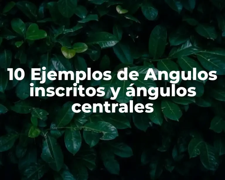 10 Ejemplos de Angulos inscritos y ángulos centrales