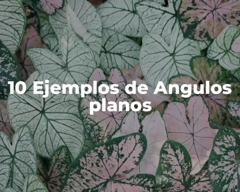 10 Ejemplos de Angulos planos
