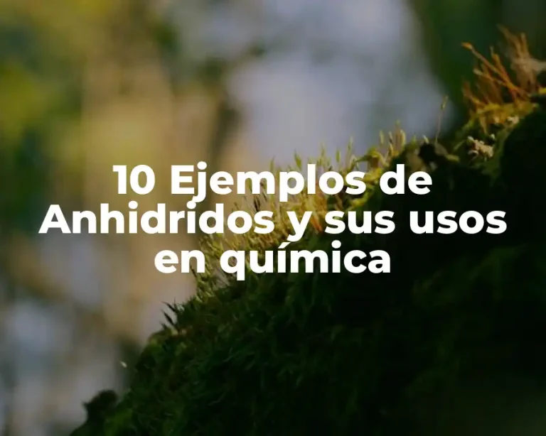 10 Ejemplos de Anhidridos y sus usos en química
