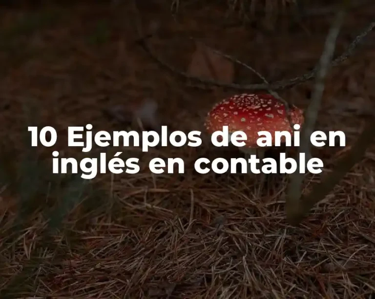 10 Ejemplos de ani en inglés en contable