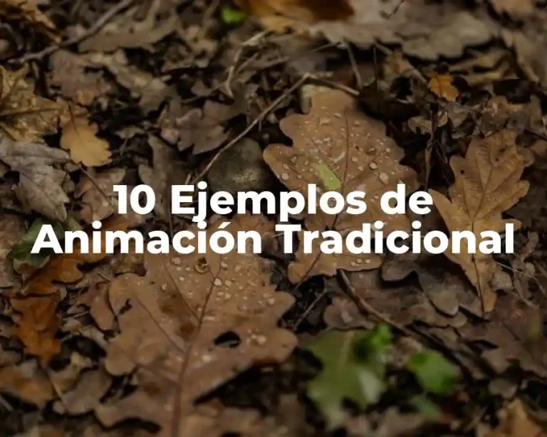 10 Ejemplos de Animación Tradicional