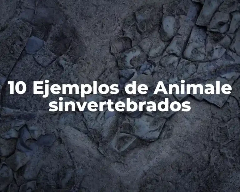 10 Ejemplos de Animale sinvertebrados
