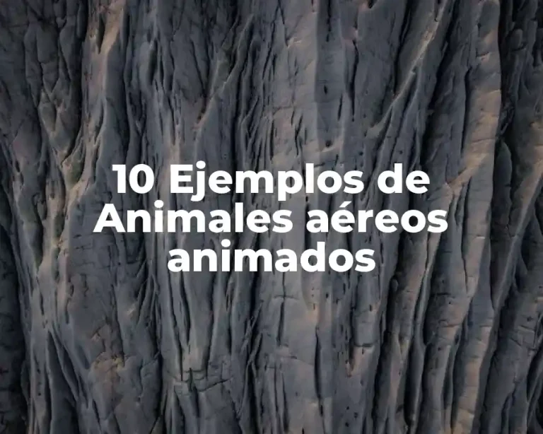 10 Ejemplos de Animales aéreos animados
