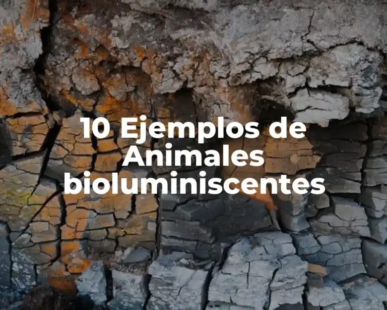 10 Ejemplos de Animales bioluminiscentes