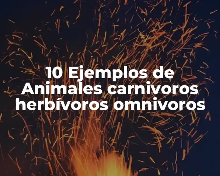 10 Ejemplos de Animales carnivoros herbívoros omnivoros