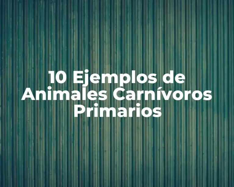 10 Ejemplos de Animales Carnívoros Primarios