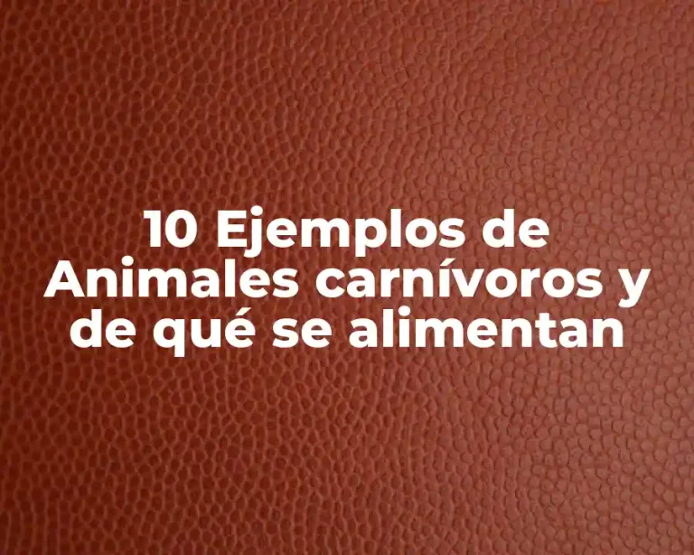 10 Ejemplos de Animales carnívoros y de qué se alimentan