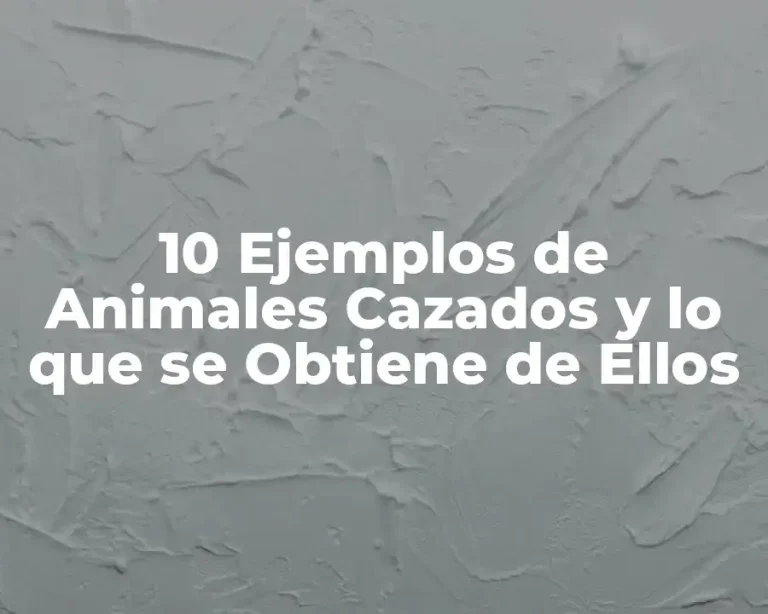 10 Ejemplos de Animales Cazados y lo que se Obtiene de Ellos