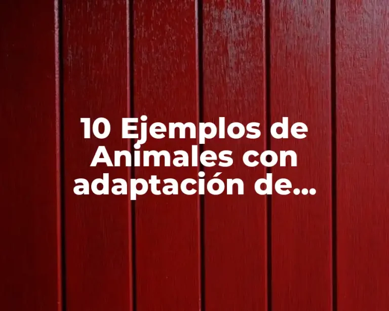 10 Ejemplos de Animales con adaptación de comportamiento