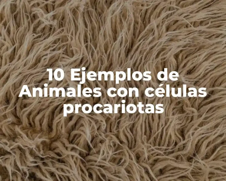10 Ejemplos de Animales con células procariotas